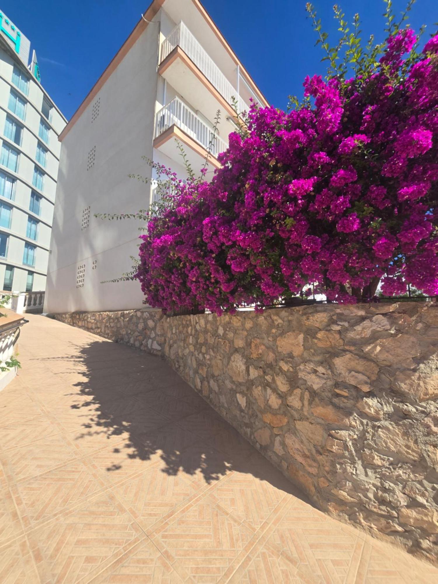 La Cantera Appartement Playa Peñíscola Extérieur photo